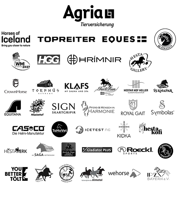 vm25_sponsoren_17feb26